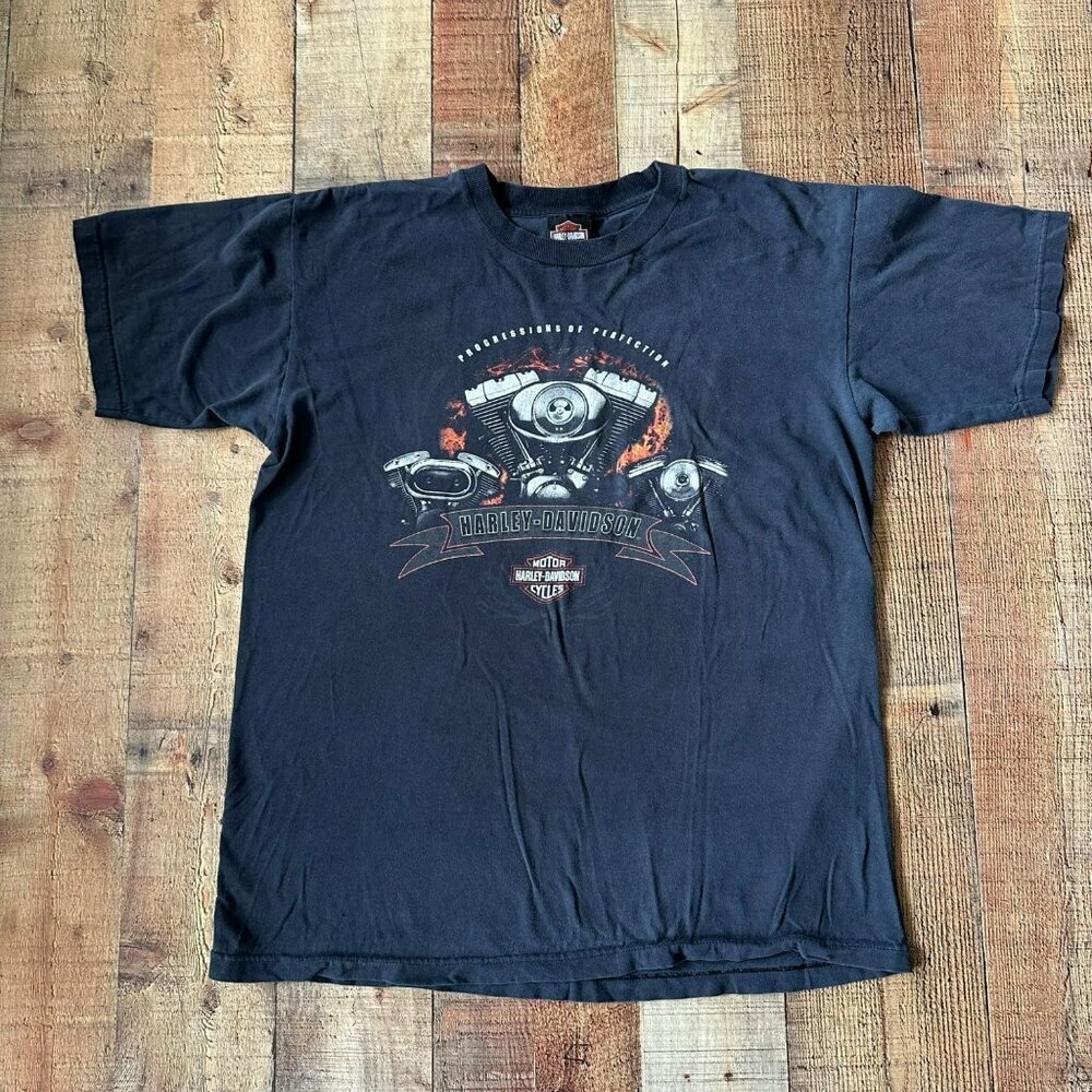 Harley-Davidson Mens Graphic T-Shirt Size L Black Cotton